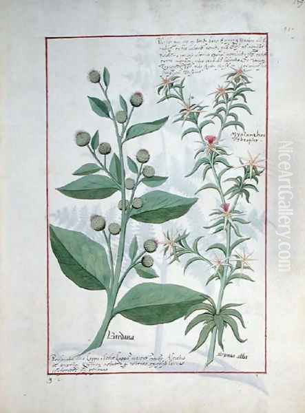 Illustration from the Book of Simple Medicines by Mattheaus Platearius d.c.1161 c.1470 3 Oil Painting by Robinet Testard