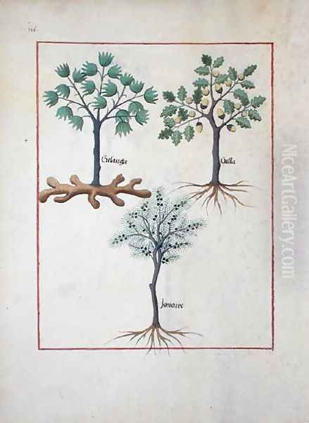 Illustration from the Book of Simple Medicines by Mattheaus Platearius d.c.1161 c.1470 7 Oil Painting by Robinet Testard