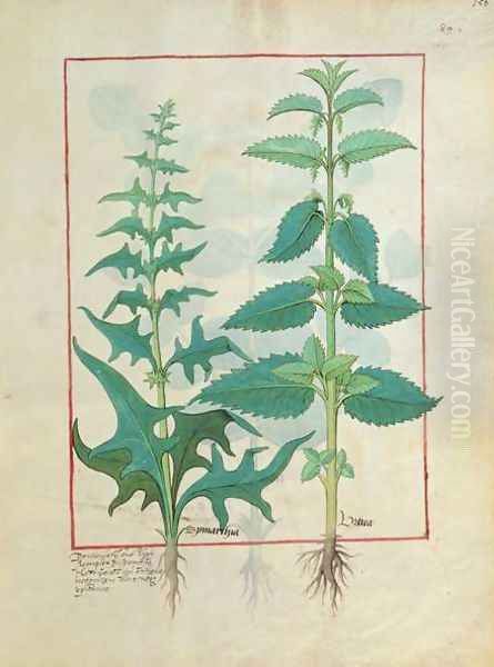 Urticaceae Nettle Family Illustration from the Book of Simple Medicines by Mattheaus Platearius d.c.1161 c.1470 Oil Painting by Robinet Testard