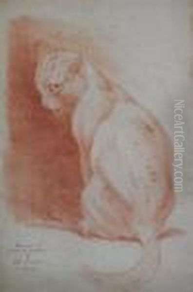 Seated Cat Oil Painting by Louis William Wain