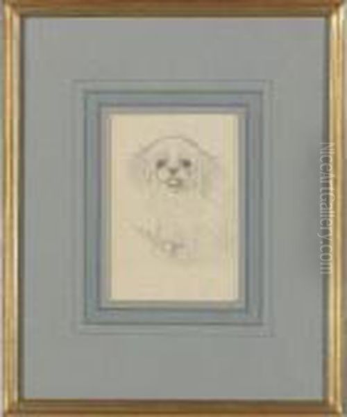 Sketch Of A Dog Oil Painting by Louis William Wain