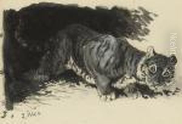 A Young Tiger Cub Surveying The Territory Oil Painting by Louis William Wain