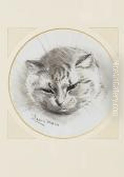 The Sleepy Cat Oil Painting by Louis William Wain