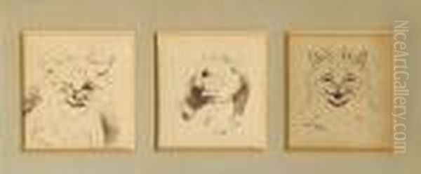 Wink Wink; Unbelievable!; How Delightful! (aset Of Three Within One Frame) Oil Painting by Louis William Wain