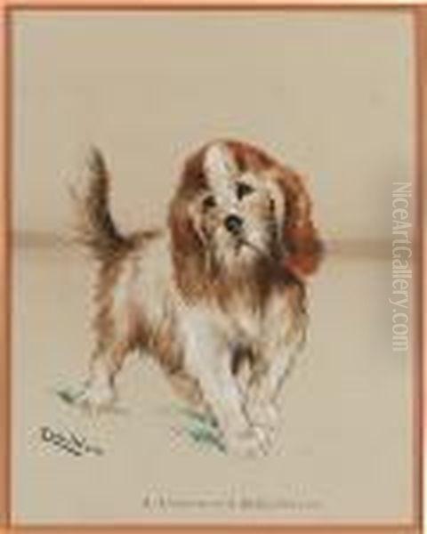 A Rough-haired Bassethound Oil Painting by Louis William Wain