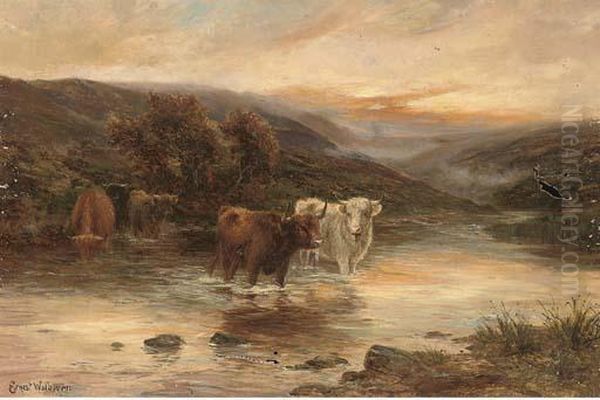 Highland Cattle Watering In A River Landscape Oil Painting by Ernst Walbourn