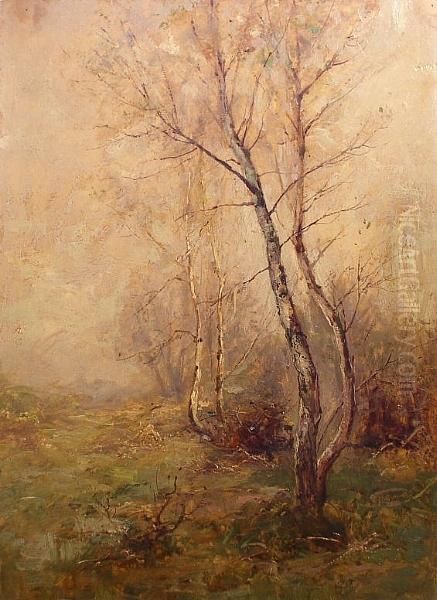 Silver Birches Oil Painting by Ernst Walbourn