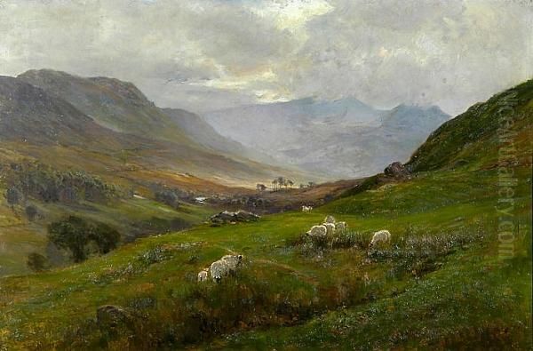 Sheep Grazing In An Extensive Valley Landscape Oil Painting by Ernst Walbourn