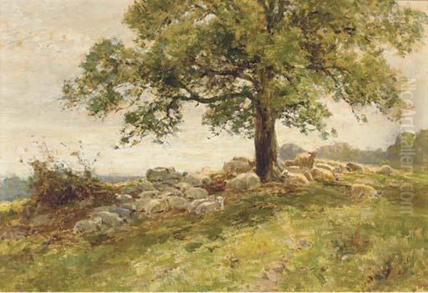 Sheep Under A Tree Oil Painting by Ernst Walbourn