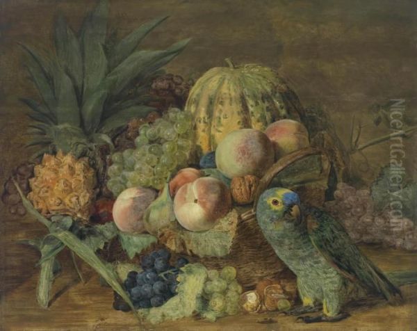 Still Life Withfruit And A Parrot From The Amazon Oil Painting by Ferdinand Georg Waldmuller