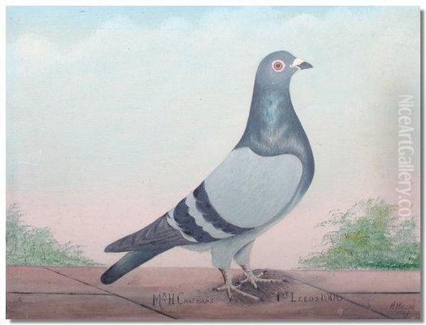 Mr H Chapman's Racing Pigeon First Leeds 1906 Oil Painting by Alfred Wallis