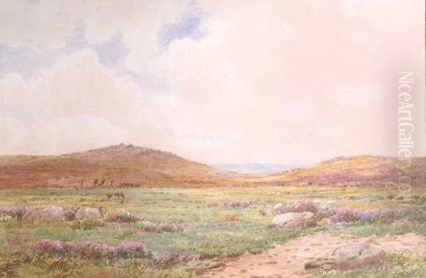 A Dartmoor Landscape With Ponies Oil Painting by George Stanfield Walters