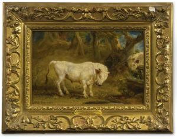 A Confrontation Between Two Chillingham Wild White Bulls Oil Painting by James Ward