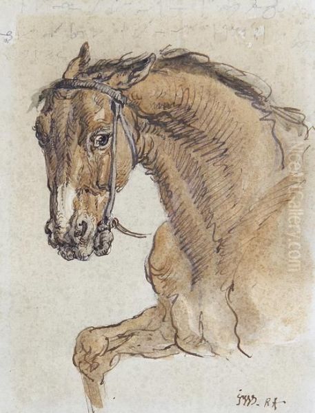 Study Of A Bay Horse Oil Painting by James Ward