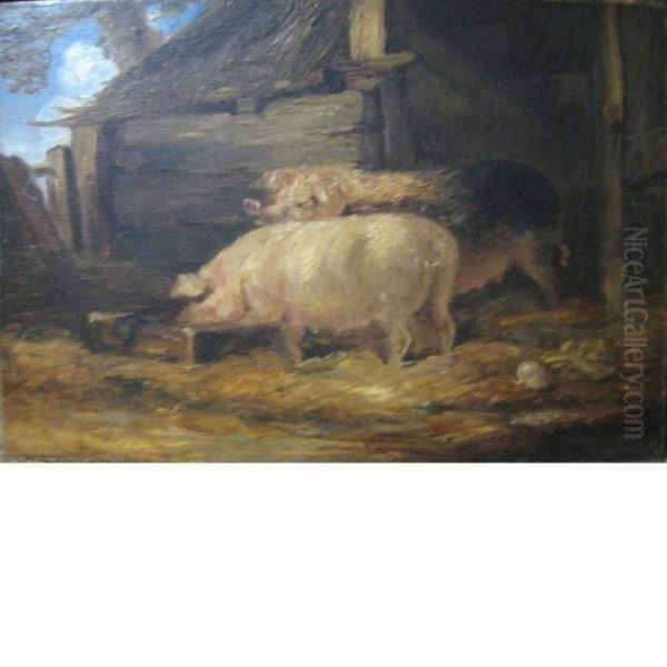 Two Sows Oil Painting by James Ward