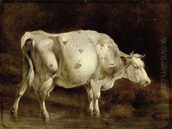 Study Of A Cow Oil Painting by James Ward