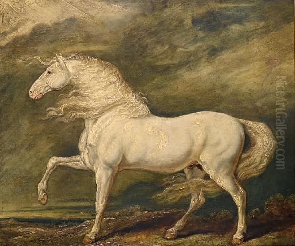 Adonis, The Favourite Charger Of King George Iii Oil Painting by James Ward