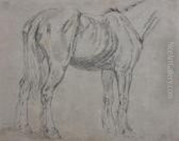 Study Of A Cart Horse Oil Painting by James Ward