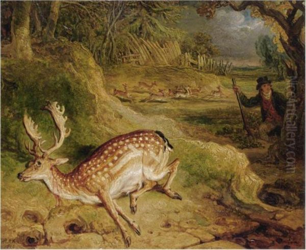 The Deer Stealer Oil Painting by James Ward