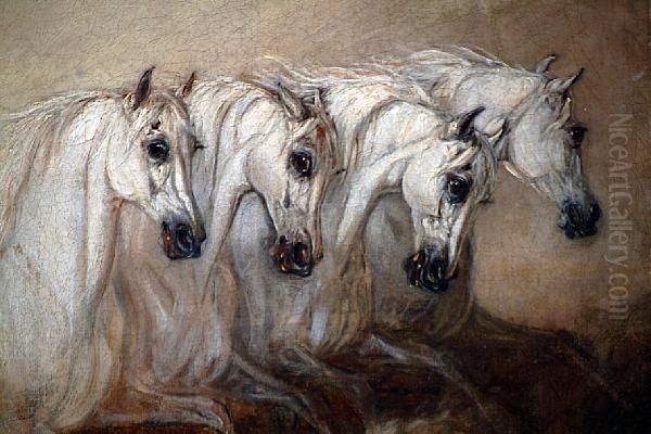 Four Grey Horses, A Study Oil Painting by James Ward