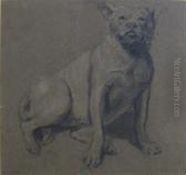 Study From Nature, Bull Dog Oil Painting by James Ward