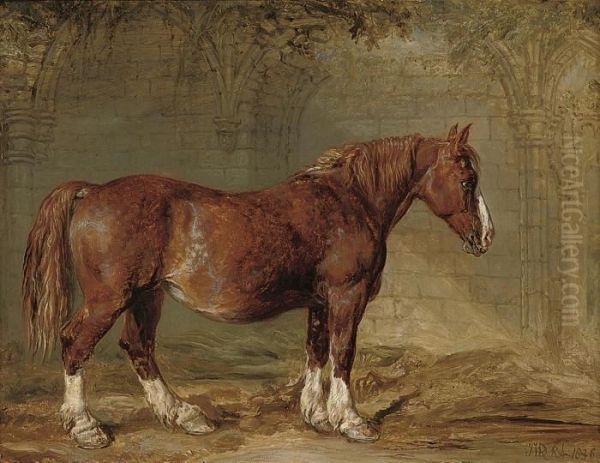 A Suffolk Punch Oil Painting by James Ward