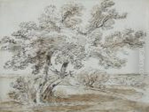 Trees In A Landscape Oil Painting by James Ward