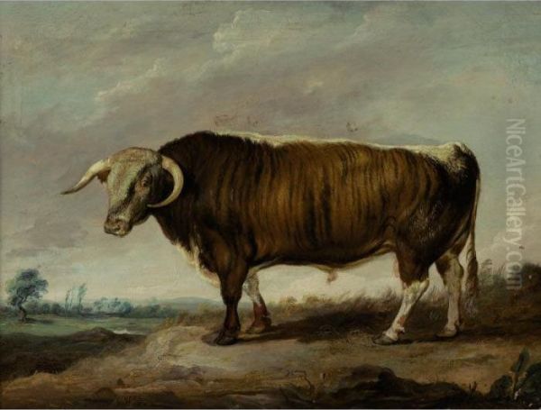 Longhorn Bull, Sire Of The Bull Croxall Oil Painting by James Ward