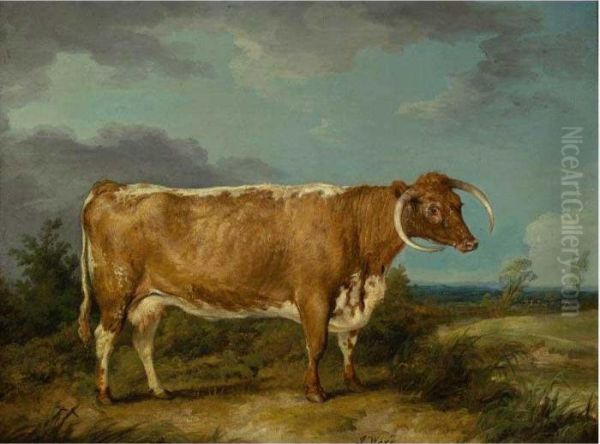 Longhorn Cow Oil Painting by James Ward