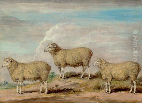 Reynolds's Bamtton Ram, Ewe And Wether Oil Painting by James Ward