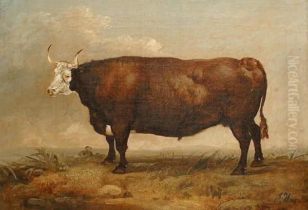 A Bull In A Landscape. Oil Painting by James Ward