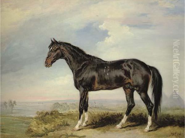 A Dongola Stallion From Nubia Oil Painting by James Ward