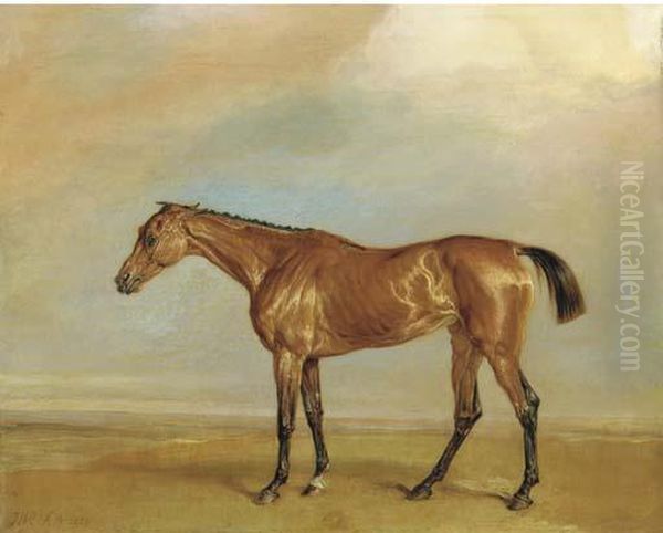 The Marquess Of Exeter's Augusta, At Newmarket Oil Painting by James Ward