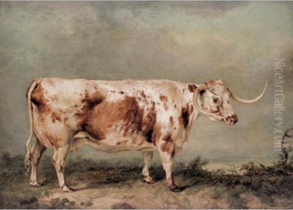 Portrait Of A Longhorn Cow Oil Painting by James Ward