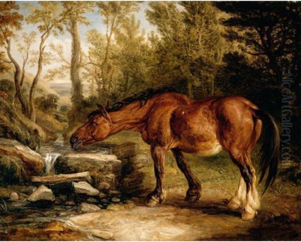 A Horse Drinking At A Stream Oil Painting by James Ward