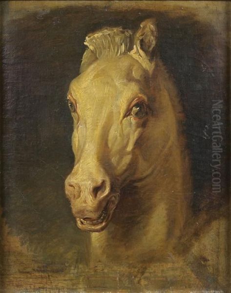 Tete De Cheval Oil Painting by James Ward