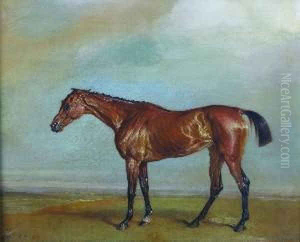 Lord Exeter's Augusta, Newmarket Oil Painting by James Ward