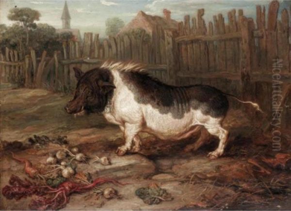 A Hog In A Yard Oil Painting by James Ward