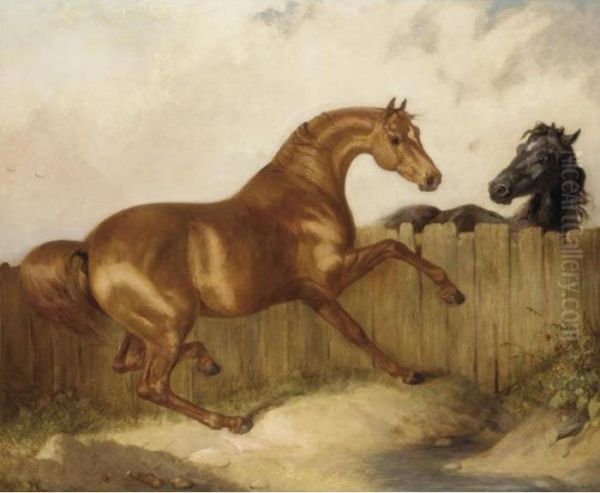 A Black Horse And Chestnut Horse Oil Painting by James Ward