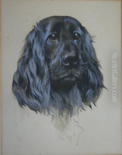 Head Study Of A Spaniel Oil Painting by Arthur Wardle