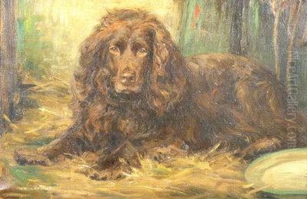 A Study Of A Spaniel Oil Painting by Arthur Wardle