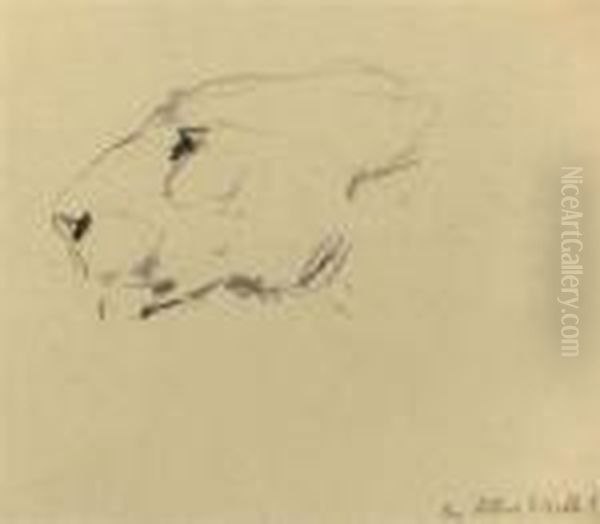 Two Sketches Of A Lion's Head Together With A Rough Sketch Ofhorse's Legs Oil Painting by Arthur Wardle