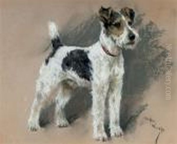 Study Of A Fox Terrier by Arthur Wardle