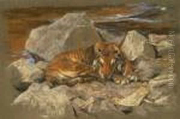 A Tiger Resting Amongst Rocks Oil Painting by Arthur Wardle