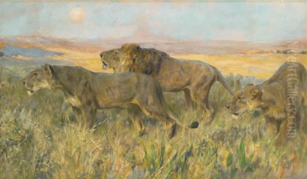 Lions At Sunset Oil Painting by Arthur Wardle