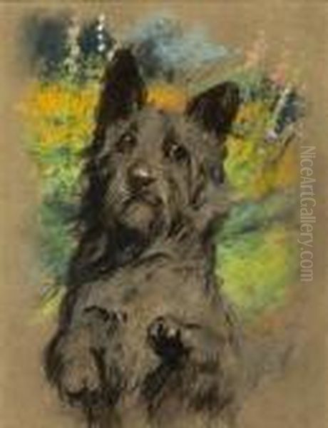 A Scottish Terrier Oil Painting by Arthur Wardle