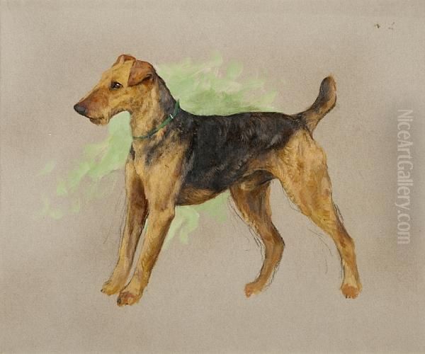 An Airedale Terrier Oil Painting by Arthur Wardle