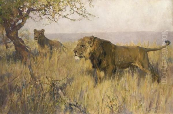 A Lion And A Lioness Surveying Their Territory Oil Painting by Arthur Wardle