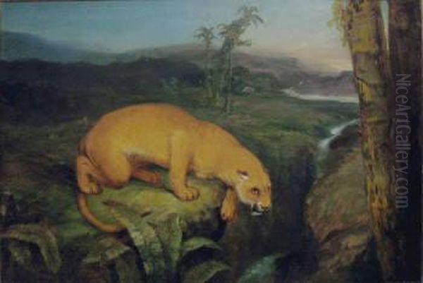 Wardle, 'a Lioness By A Stream' Oil Painting by Arthur Wardle