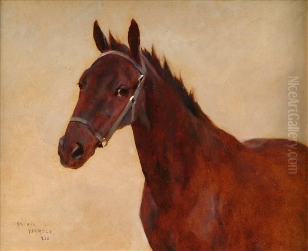 Study Of A Horse Oil Painting by Arthur Wardle